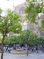 Sevilla - Cathedral Courtyard of the Orange Trees (Oct 2006)